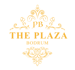 theplazaisstanbul.com favicon